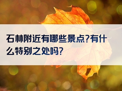 石林附近有哪些景点？有什么特别之处吗？