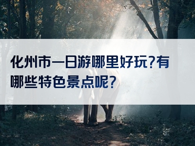 化州市一日游哪里好玩？有哪些特色景点呢？