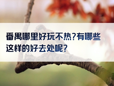 番禺哪里好玩不热？有哪些这样的好去处呢？