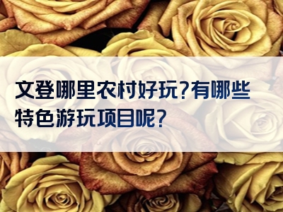 文登哪里农村好玩？有哪些特色游玩项目呢？