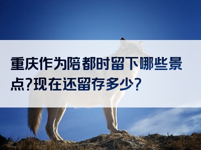 重庆作为陪都时留下哪些景点？现在还留存多少？