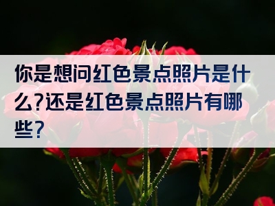 你是想问红色景点照片是什么？还是红色景点照片有哪些？