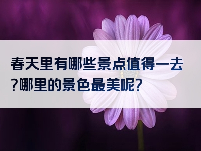 春天里有哪些景点值得一去？哪里的景色最美呢？