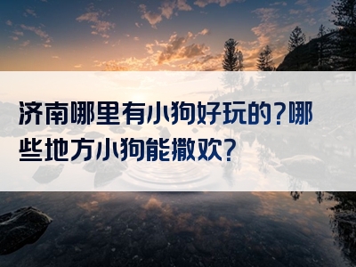 济南哪里有小狗好玩的？哪些地方小狗能撒欢？