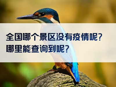 全国哪个景区没有疫情呢？哪里能查询到呢？