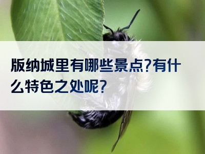 版纳城里有哪些景点？有什么特色之处呢？