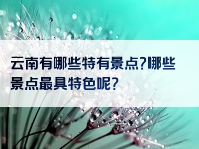 云南有哪些特有景点？哪些景点最具特色呢？