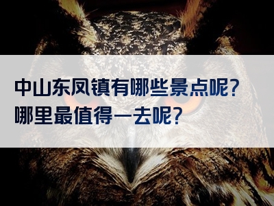 中山东凤镇有哪些景点呢？哪里最值得一去呢？