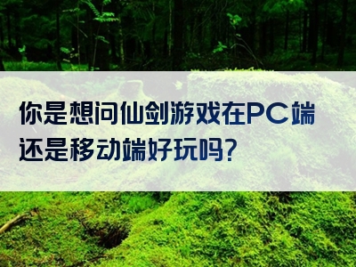 你是想问仙剑游戏在PC端还是移动端好玩吗？