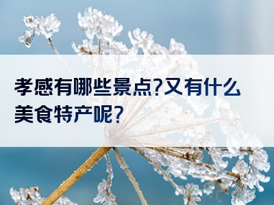 孝感有哪些景点？又有什么美食特产呢？