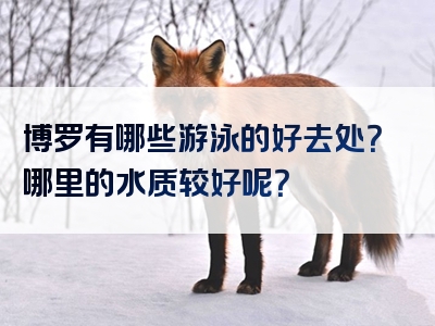 博罗有哪些游泳的好去处？哪里的水质较好呢？