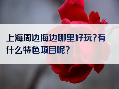 上海周边海边哪里好玩？有什么特色项目呢？