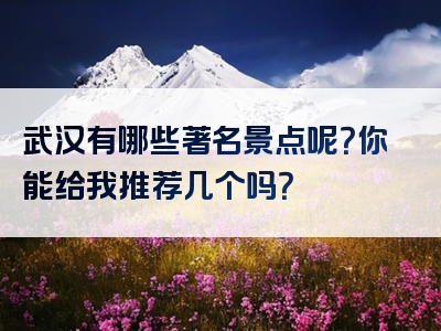 武汉有哪些著名景点呢？你能给我推荐几个吗？