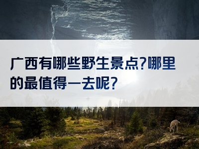 广西有哪些野生景点？哪里的最值得一去呢？