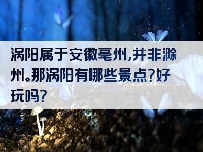 涡阳属于安徽亳州，并非滁州。那涡阳有哪些景点？好玩吗？