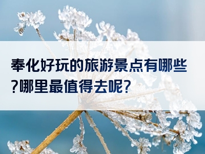 奉化好玩的旅游景点有哪些？哪里最值得去呢？