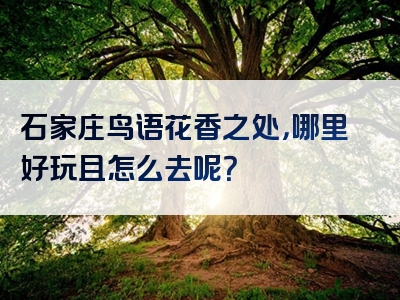 石家庄鸟语花香之处，哪里好玩且怎么去呢？