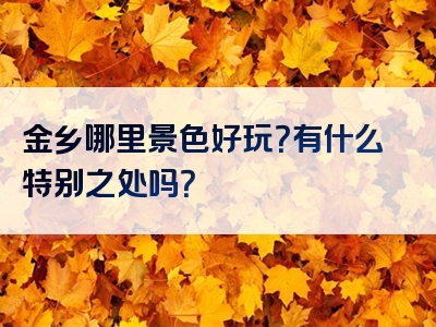 金乡哪里景色好玩？有什么特别之处吗？