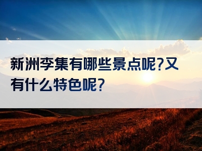 新洲李集有哪些景点呢？又有什么特色呢？