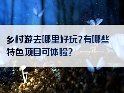 乡村游去哪里好玩？有哪些特色项目可体验？