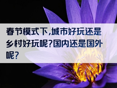 春节模式下，城市好玩还是乡村好玩呢？国内还是国外呢？