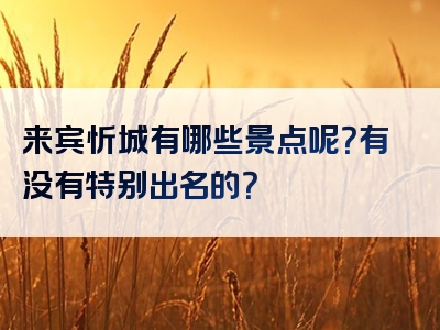 来宾忻城有哪些景点呢？有没有特别出名的？