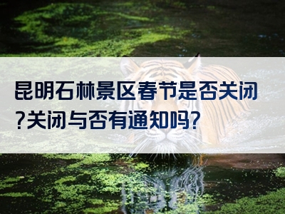 昆明石林景区春节是否关闭？关闭与否有通知吗？