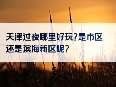 天津过夜哪里好玩？是市区还是滨海新区呢？