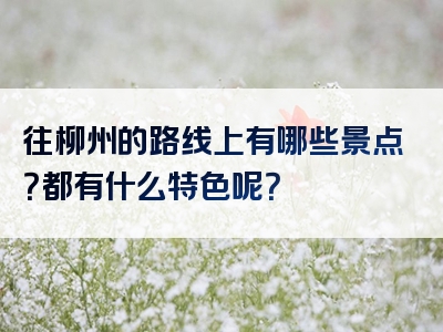 往柳州的路线上有哪些景点？都有什么特色呢？