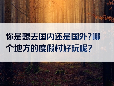 你是想去国内还是国外？哪个地方的度假村好玩呢？