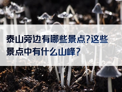 泰山旁边有哪些景点？这些景点中有什么山峰？