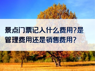 景点门票记入什么费用？是管理费用还是销售费用？