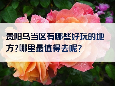 贵阳乌当区有哪些好玩的地方？哪里最值得去呢？