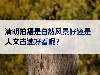 清明拍摄是自然风景好还是人文古迹好看呢？