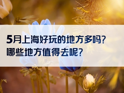 5月上海好玩的地方多吗？哪些地方值得去呢？