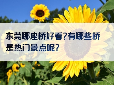 东莞哪座桥好看？有哪些桥是热门景点呢？