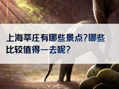 上海莘庄有哪些景点？哪些比较值得一去呢？