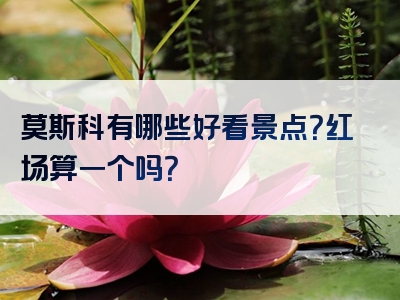 莫斯科有哪些好看景点？红场算一个吗？