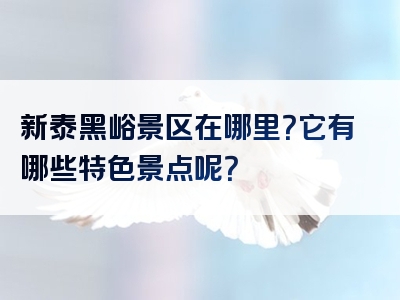 新泰黑峪景区在哪里？它有哪些特色景点呢？