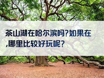 茶山湖在哈尔滨吗？如果在，哪里比较好玩呢？