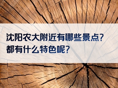 沈阳农大附近有哪些景点？都有什么特色呢？