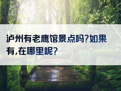 泸州有老鹰馆景点吗？如果有，在哪里呢？