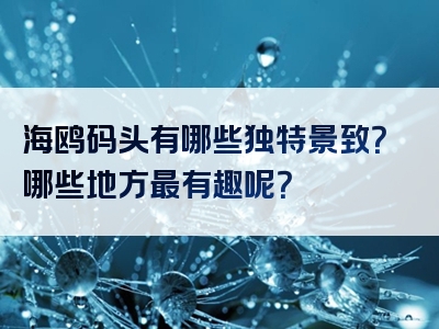 海鸥码头有哪些独特景致？哪些地方最有趣呢？