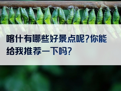 喀什有哪些好景点呢？你能给我推荐一下吗？