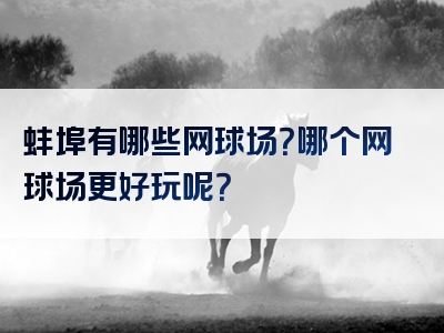 蚌埠有哪些网球场？哪个网球场更好玩呢？