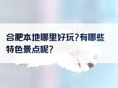 合肥本地哪里好玩？有哪些特色景点呢？