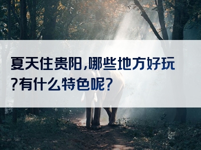 夏天住贵阳，哪些地方好玩？有什么特色呢？