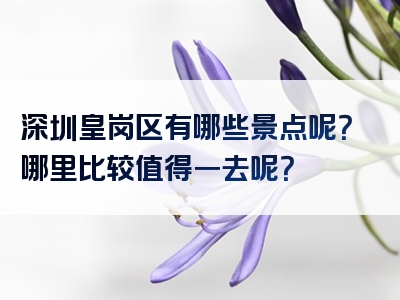 深圳皇岗区有哪些景点呢？哪里比较值得一去呢？