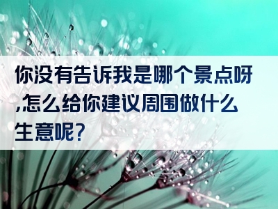 你没有告诉我是哪个景点呀，怎么给你建议周围做什么生意呢？