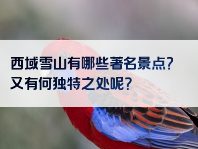 西域雪山有哪些著名景点？又有何独特之处呢？